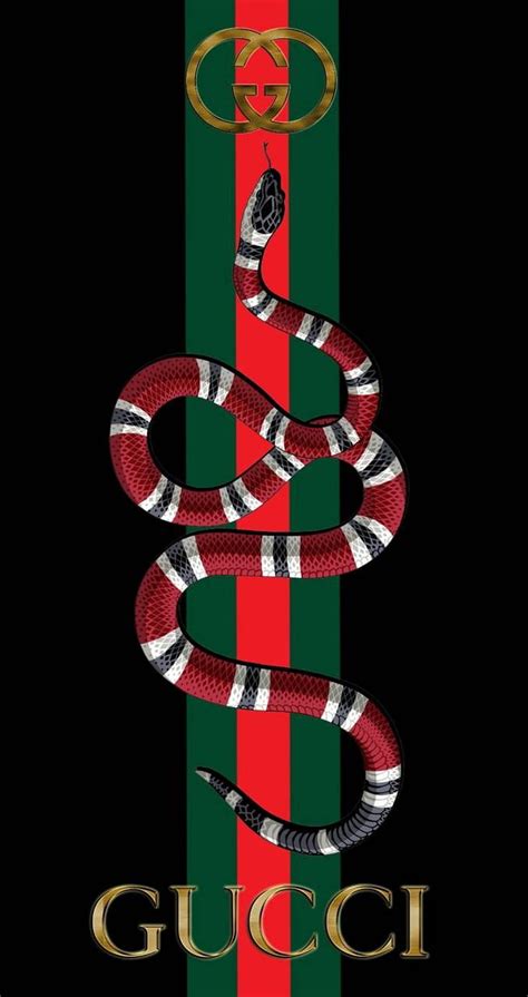 gucci sound of snake|gucci snake drawing.